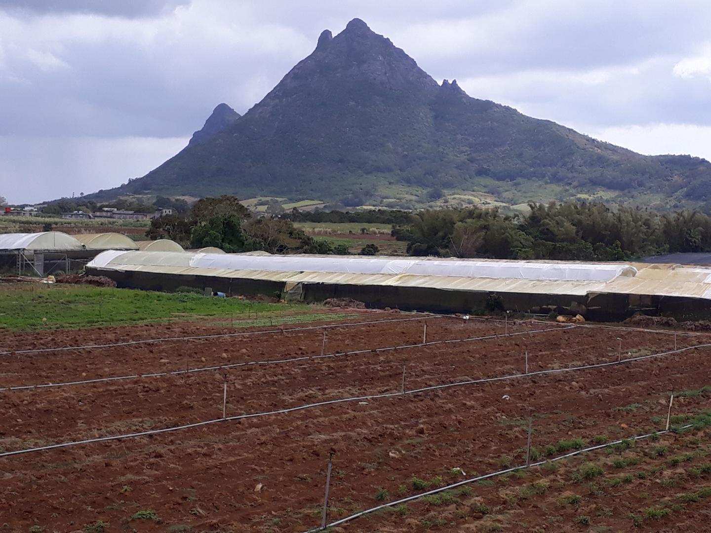 Terrain agricole / à bâtir à vendre – 8 arpents à Petit Verger, St Pierre | Opportunité d'investissement immobilier de premier choix