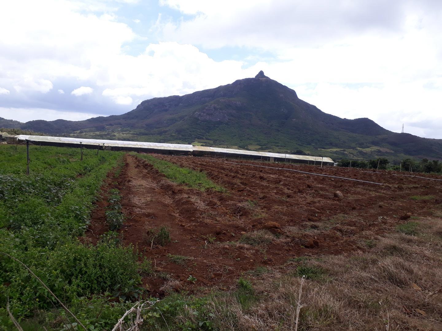 Terrain agricole / à bâtir à vendre – 8 arpents à Petit Verger, St Pierre | Opportunité d'investissement immobilier de premier choix