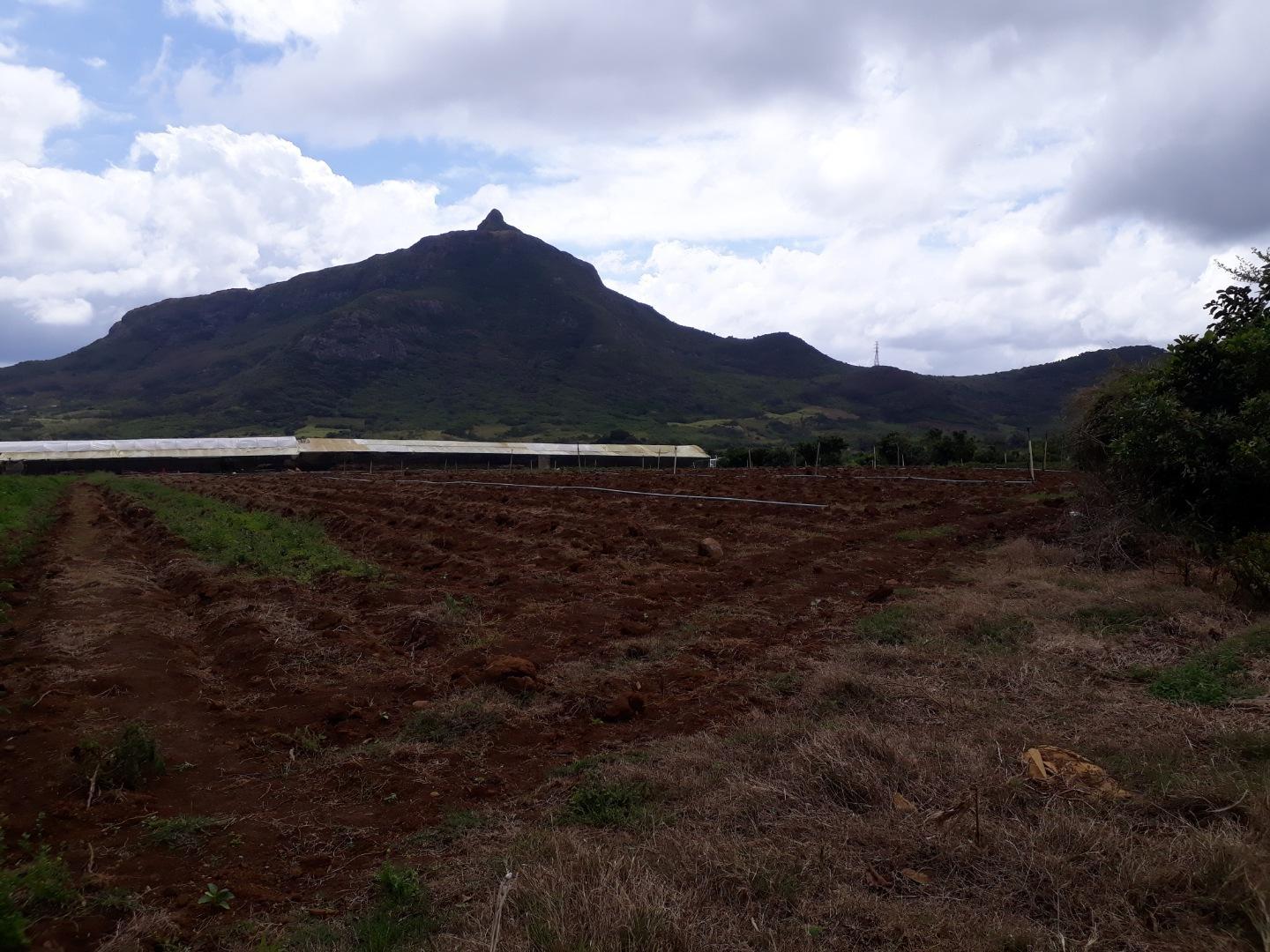 Terrain agricole / à bâtir à vendre – 8 arpents à Petit Verger, St Pierre | Opportunité d'investissement immobilier de premier choix