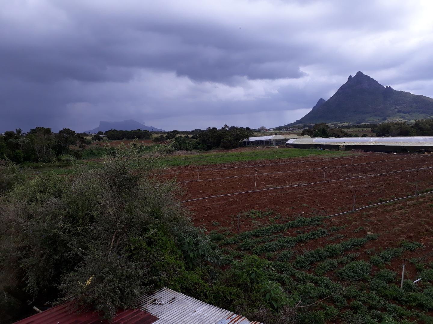 Terrain agricole / à bâtir à vendre – 8 arpents à Petit Verger, St Pierre | Opportunité d'investissement immobilier de premier choix