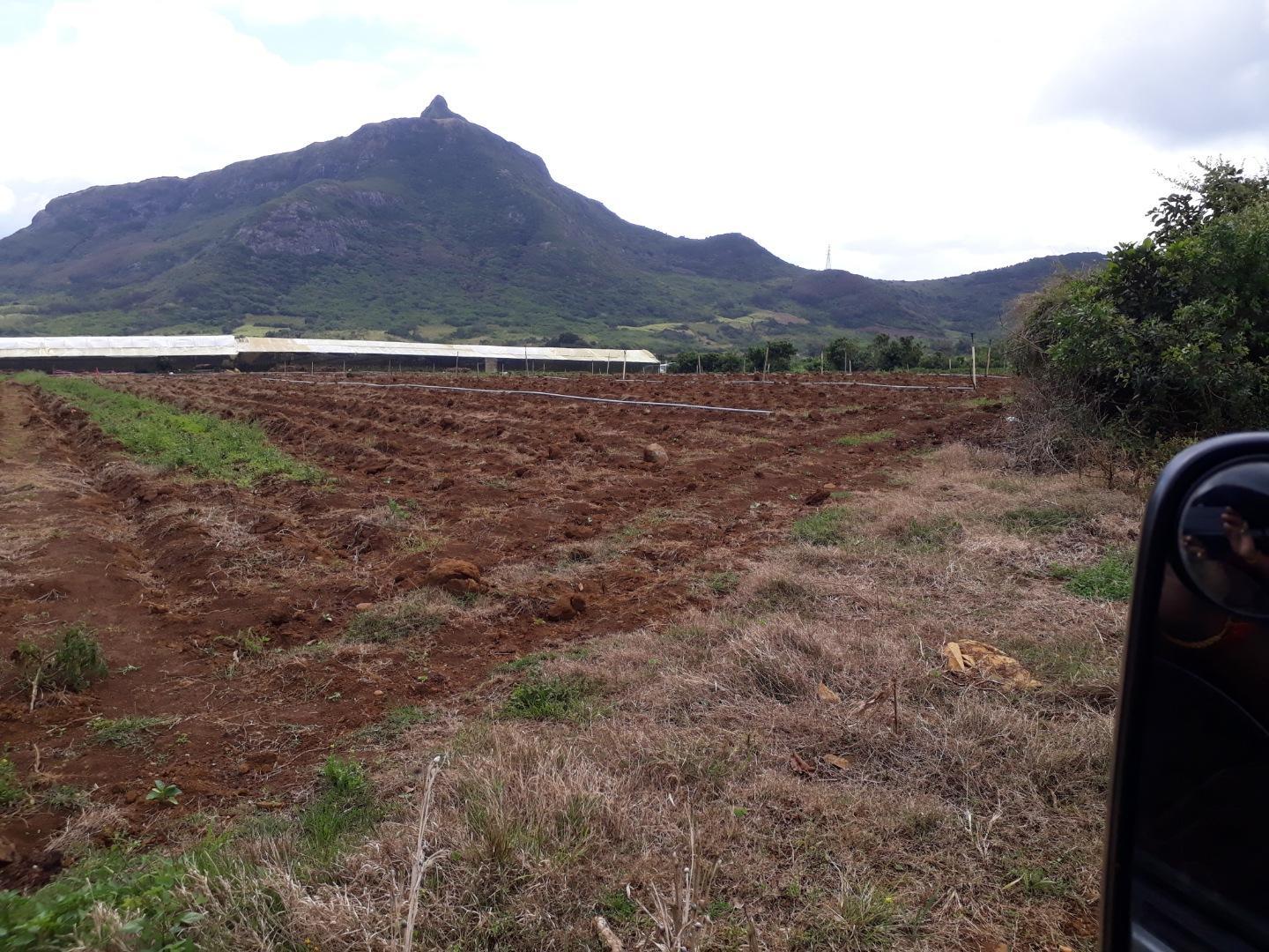 Terrain agricole / à bâtir à vendre – 8 arpents à Petit Verger, St Pierre | Opportunité d'investissement immobilier de premier choix