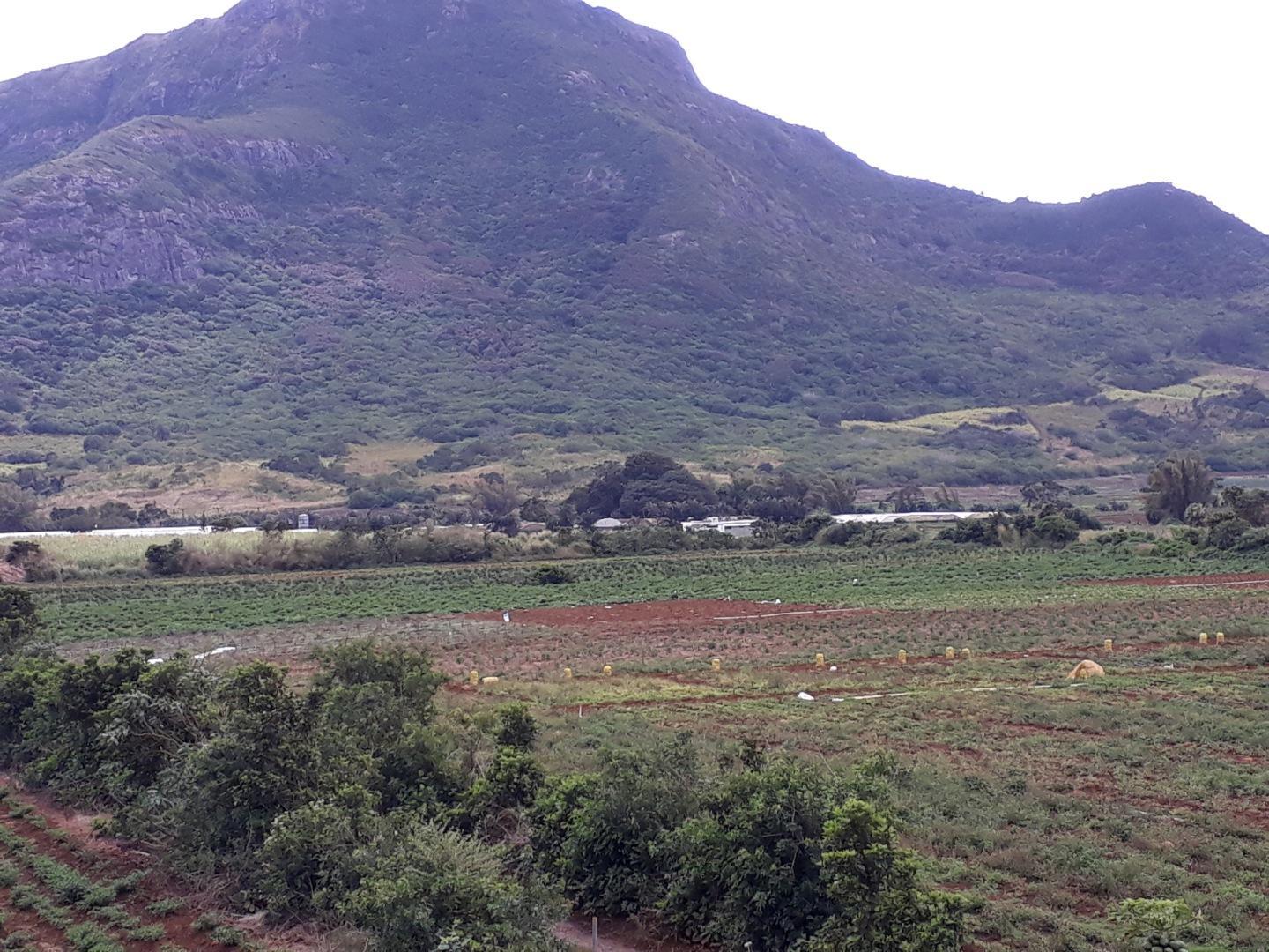 Terrain agricole / à bâtir à vendre – 8 arpents à Petit Verger, St Pierre | Opportunité d'investissement immobilier de premier choix
