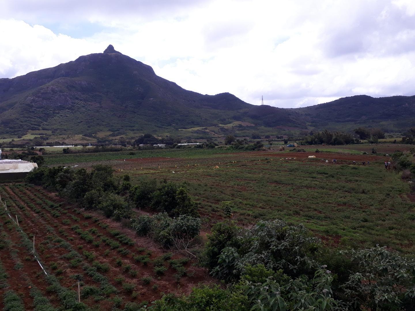 Terrain agricole / à bâtir à vendre – 8 arpents à Petit Verger, St Pierre | Opportunité d'investissement immobilier de premier choix