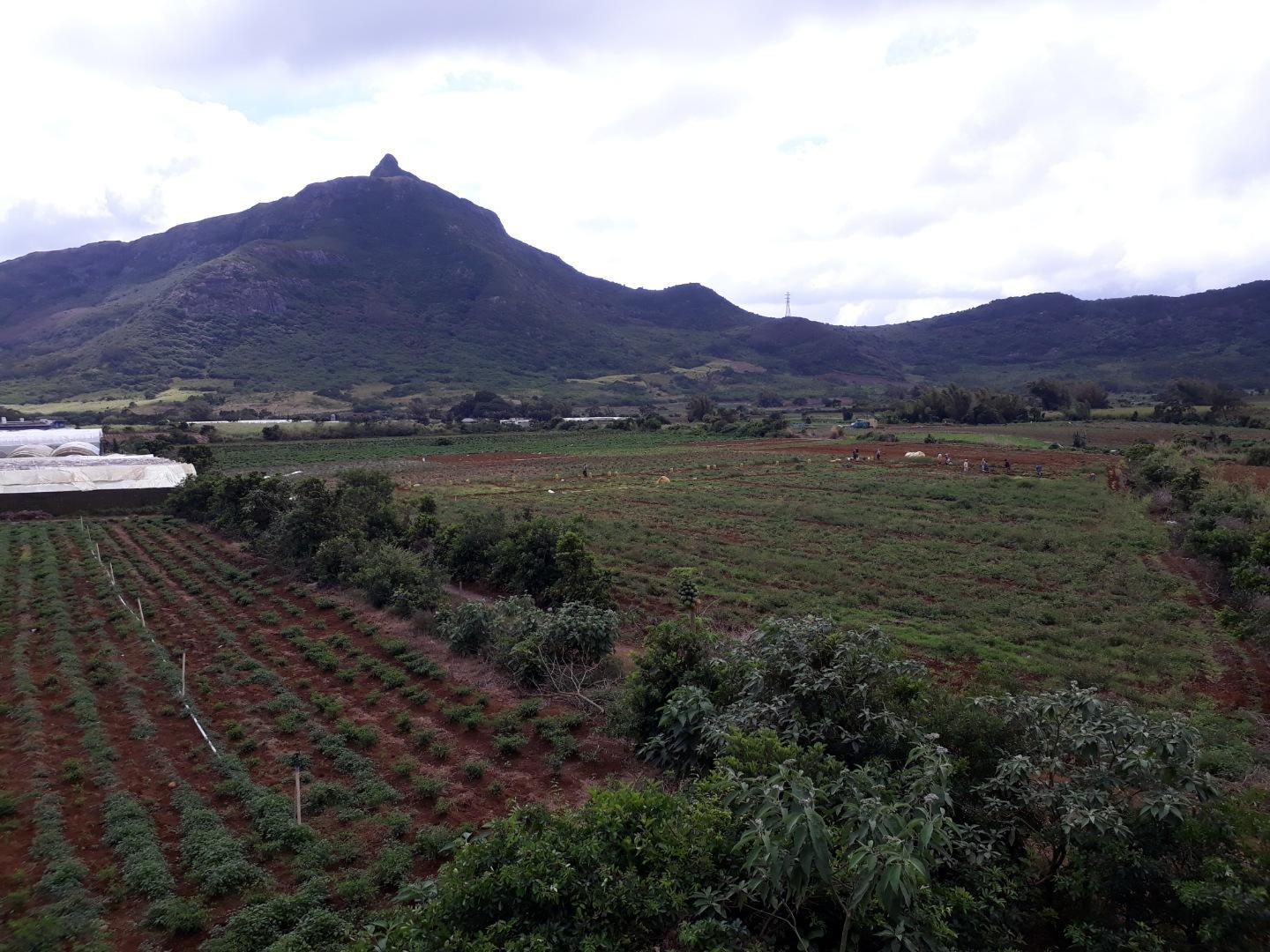 Terrain agricole / à bâtir à vendre – 8 arpents à Petit Verger, St Pierre | Opportunité d'investissement immobilier de premier choix