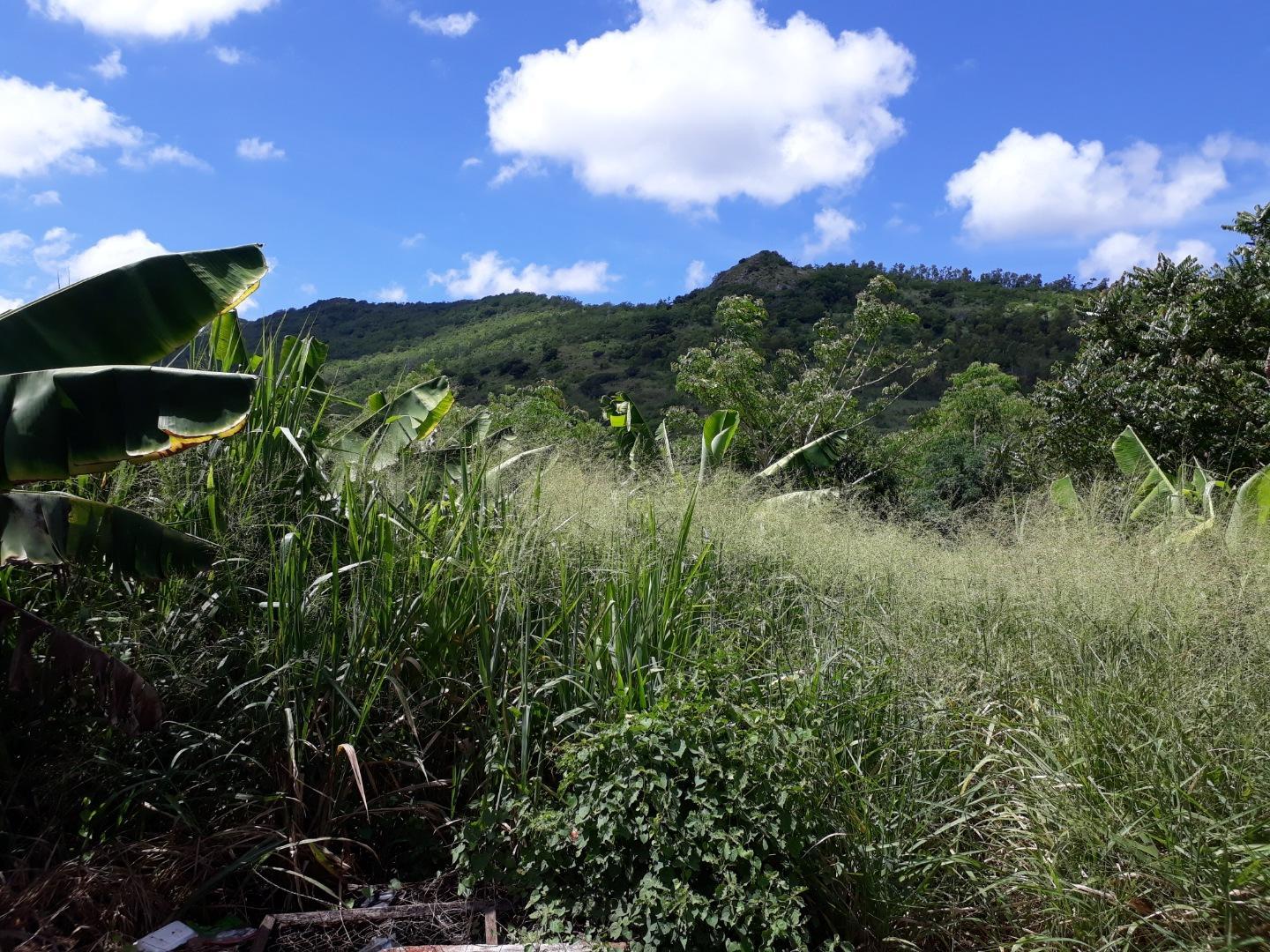 Terrain à vendre à Bois Pignolet – 2 Arpents au pied de la montagne, Île Maurice