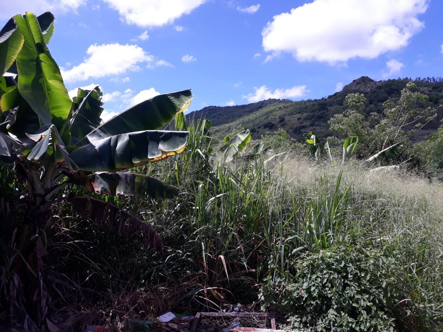 Terrain à vendre à Bois Pignolet – 2 Arpents au pied de la montagne, Île Maurice