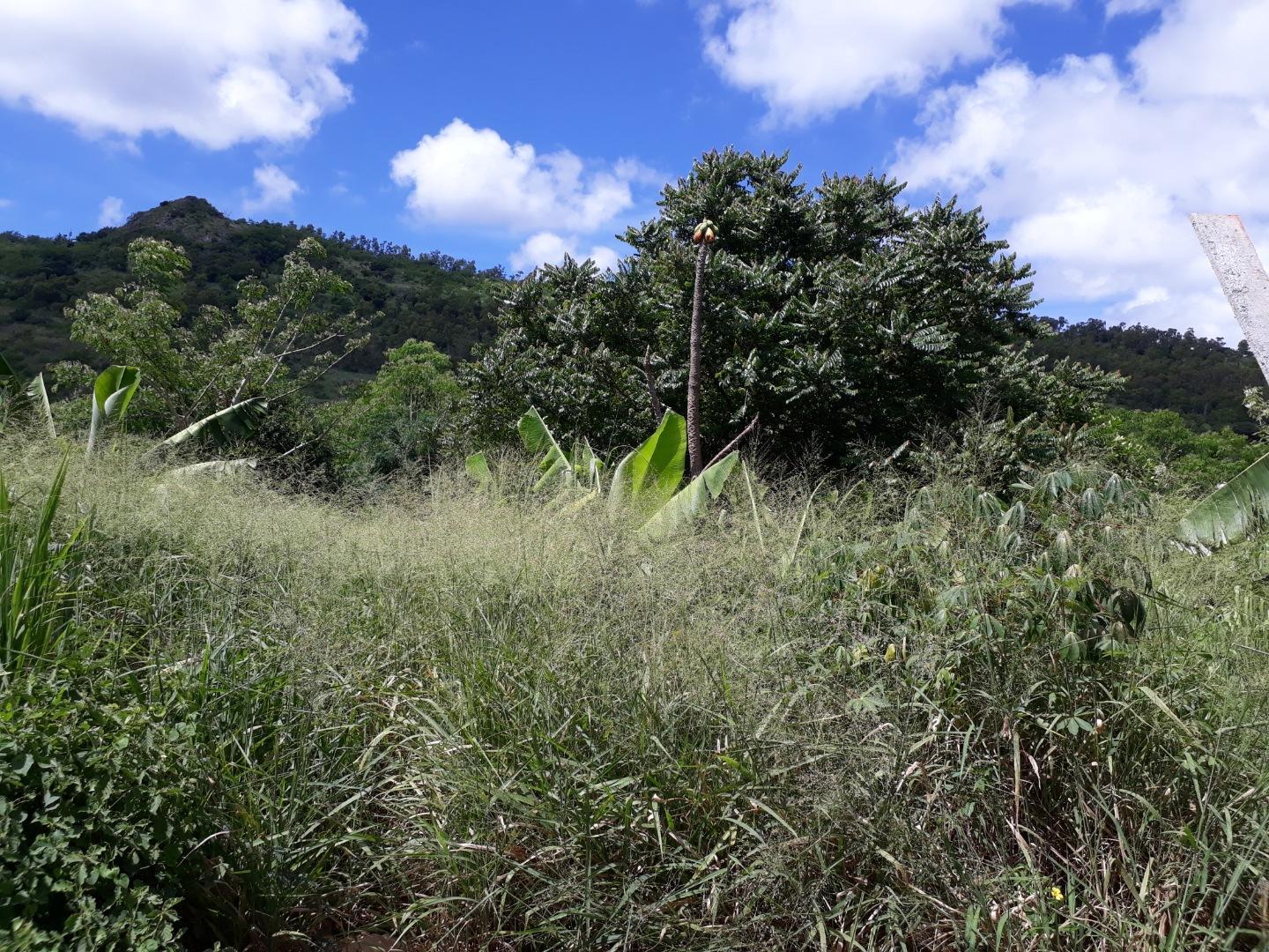 Terrain à vendre à Bois Pignolet – 2 Arpents au pied de la montagne, Île Maurice