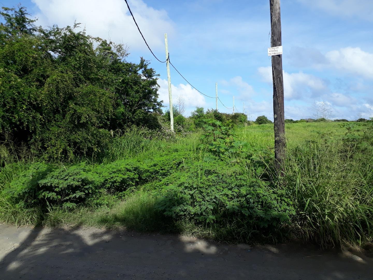 Terrain à Vendre à Mon Mascal, Cap Malheureux – 1,39 Arpents Opportunité d’Investissement Exceptionnelle à l’Île Maurice