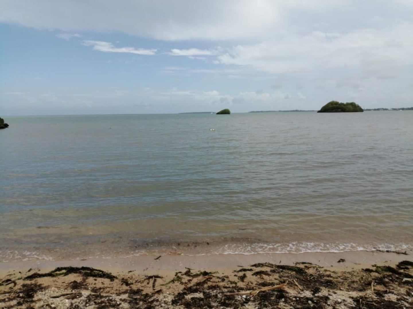 Terrain Pied dans l'Eau à Vendre – 1,53 Arpent – Vieux Grand Port, Île Maurice