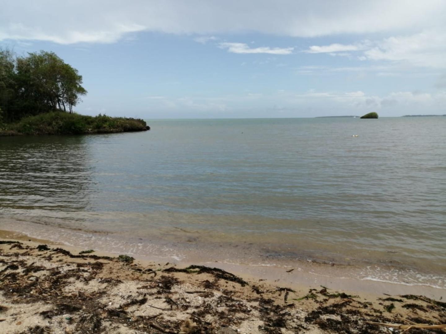 Terrain Pied dans l'Eau à Vendre – 1,53 Arpent – Vieux Grand Port, Île Maurice