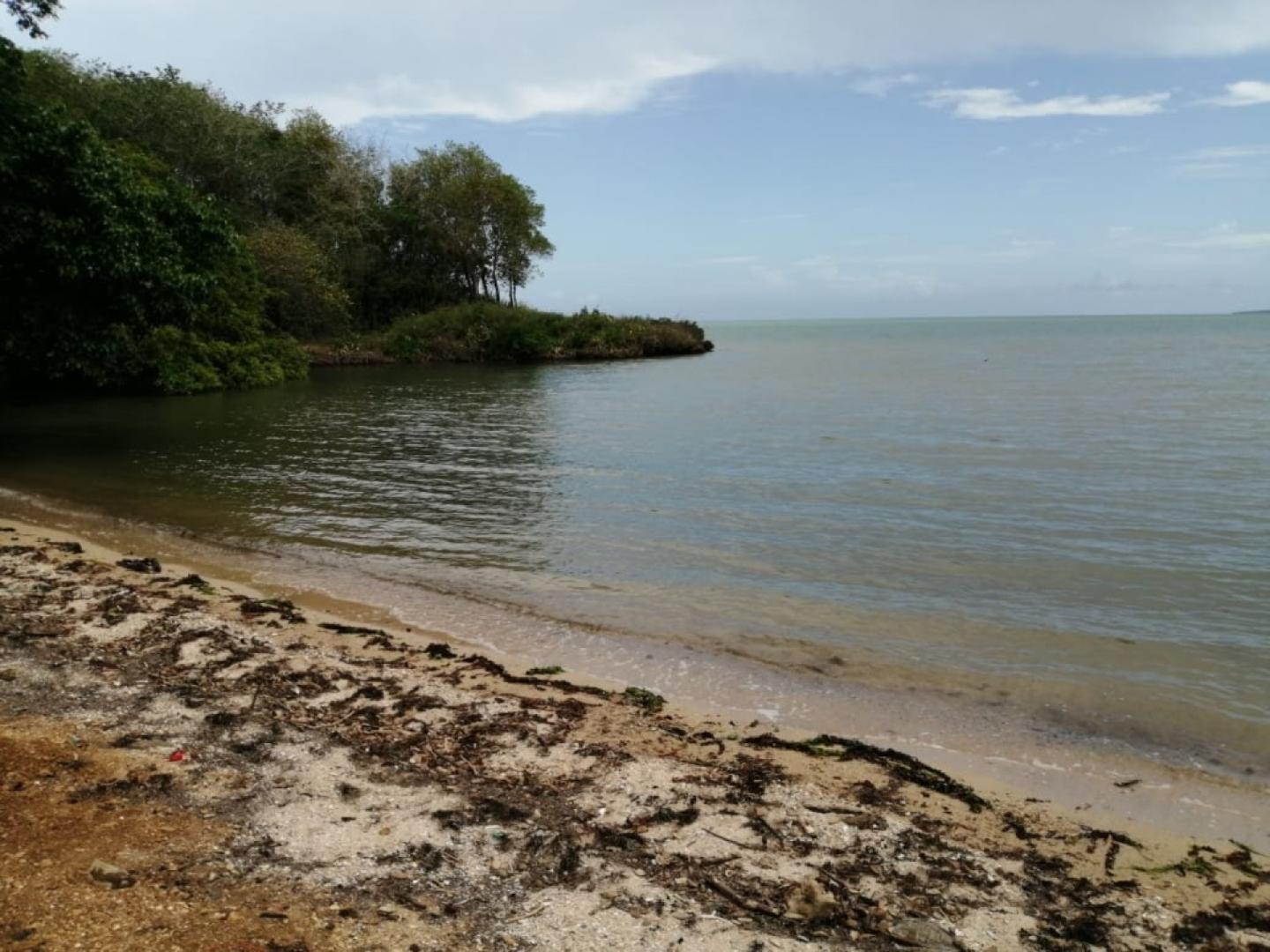 Terrain Pied dans l'Eau à Vendre – 1,53 Arpent – Vieux Grand Port, Île Maurice