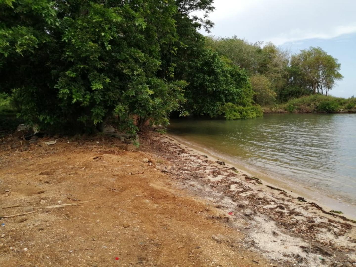 Terrain Pied dans l'Eau à Vendre – 1,53 Arpent – Vieux Grand Port, Île Maurice