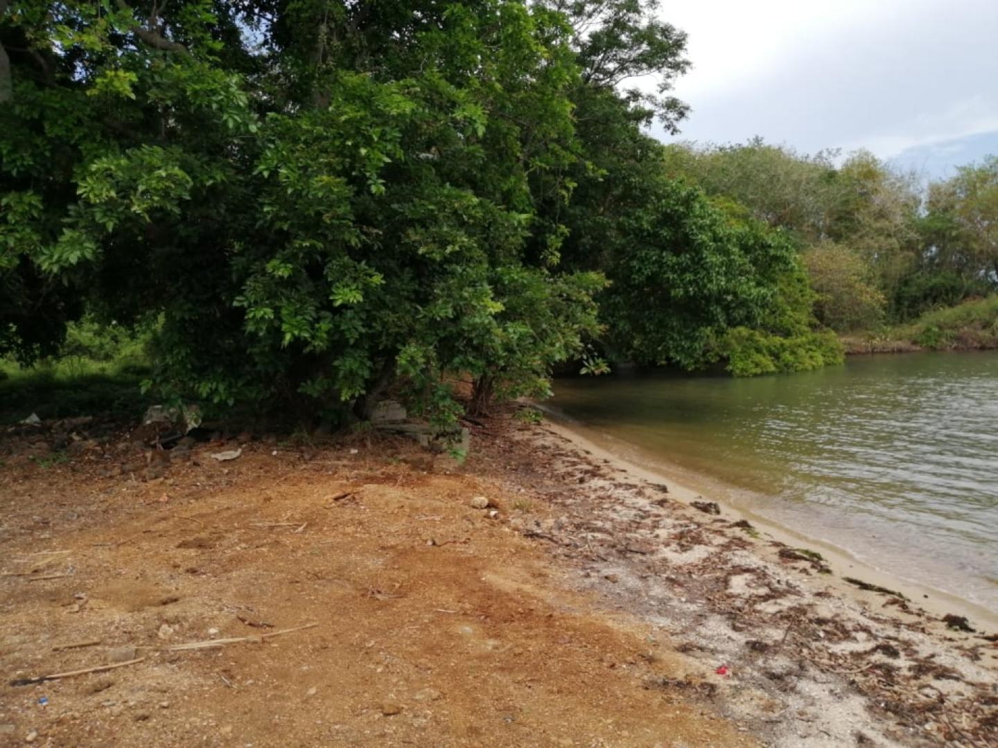 Terrain Pied dans l'Eau à Vendre – 1,53 Arpent – Vieux Grand Port, Île Maurice