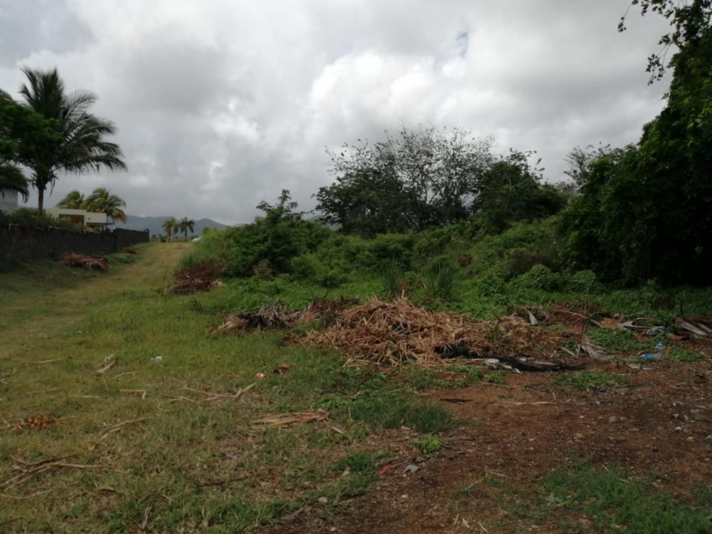 Terrain Pied dans l'Eau à Vendre – 1,53 Arpent – Vieux Grand Port, Île Maurice