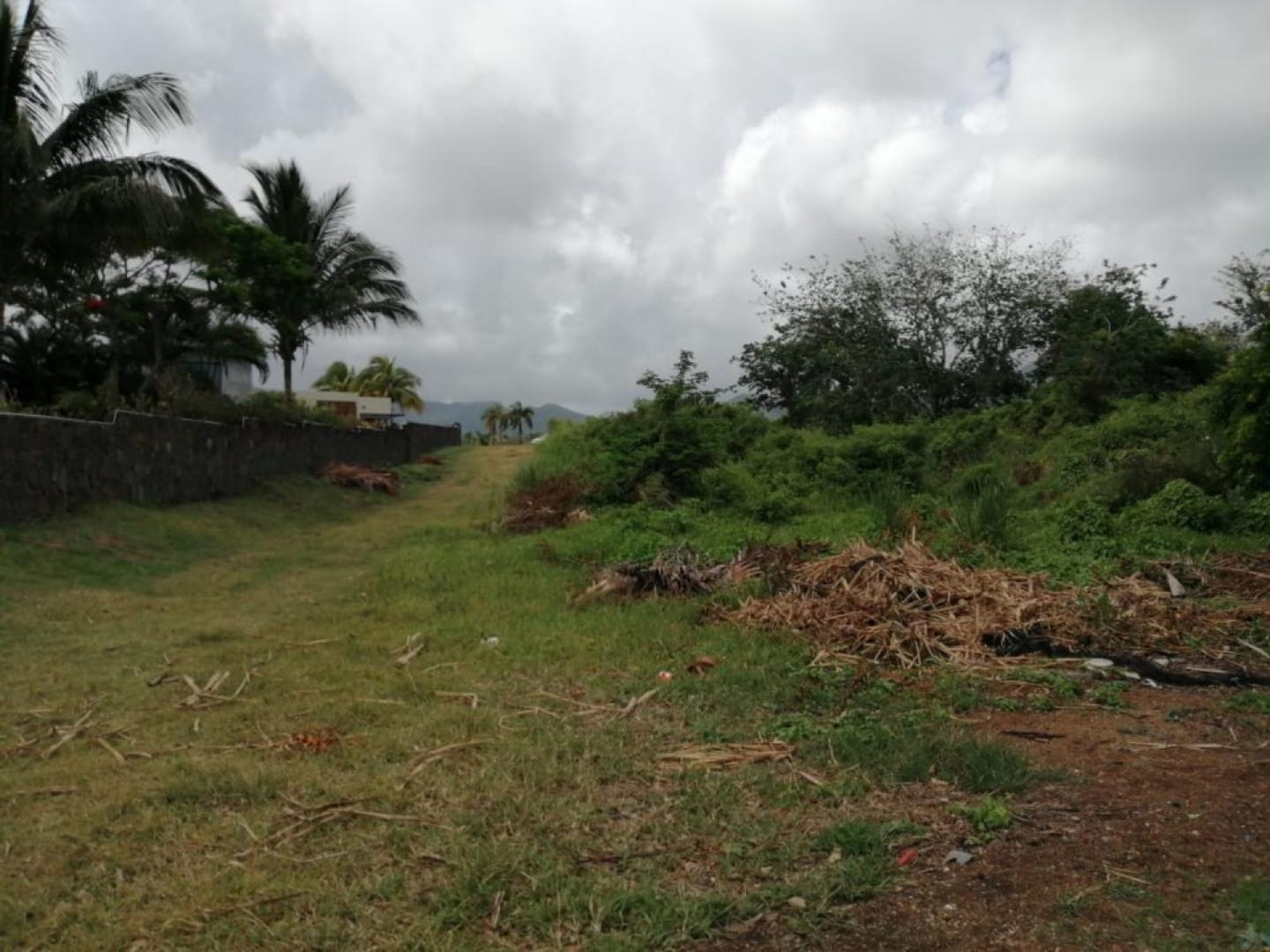 Terrain Pied dans l'Eau à Vendre – 1,53 Arpent – Vieux Grand Port, Île Maurice