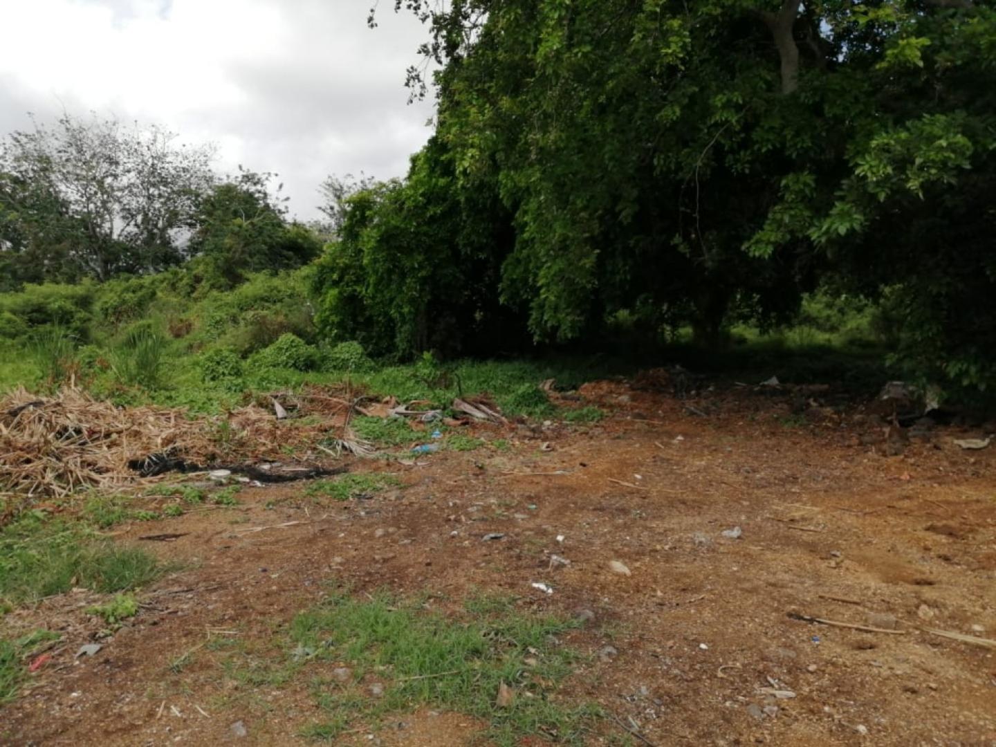 Terrain Pied dans l'Eau à Vendre – 1,53 Arpent – Vieux Grand Port, Île Maurice