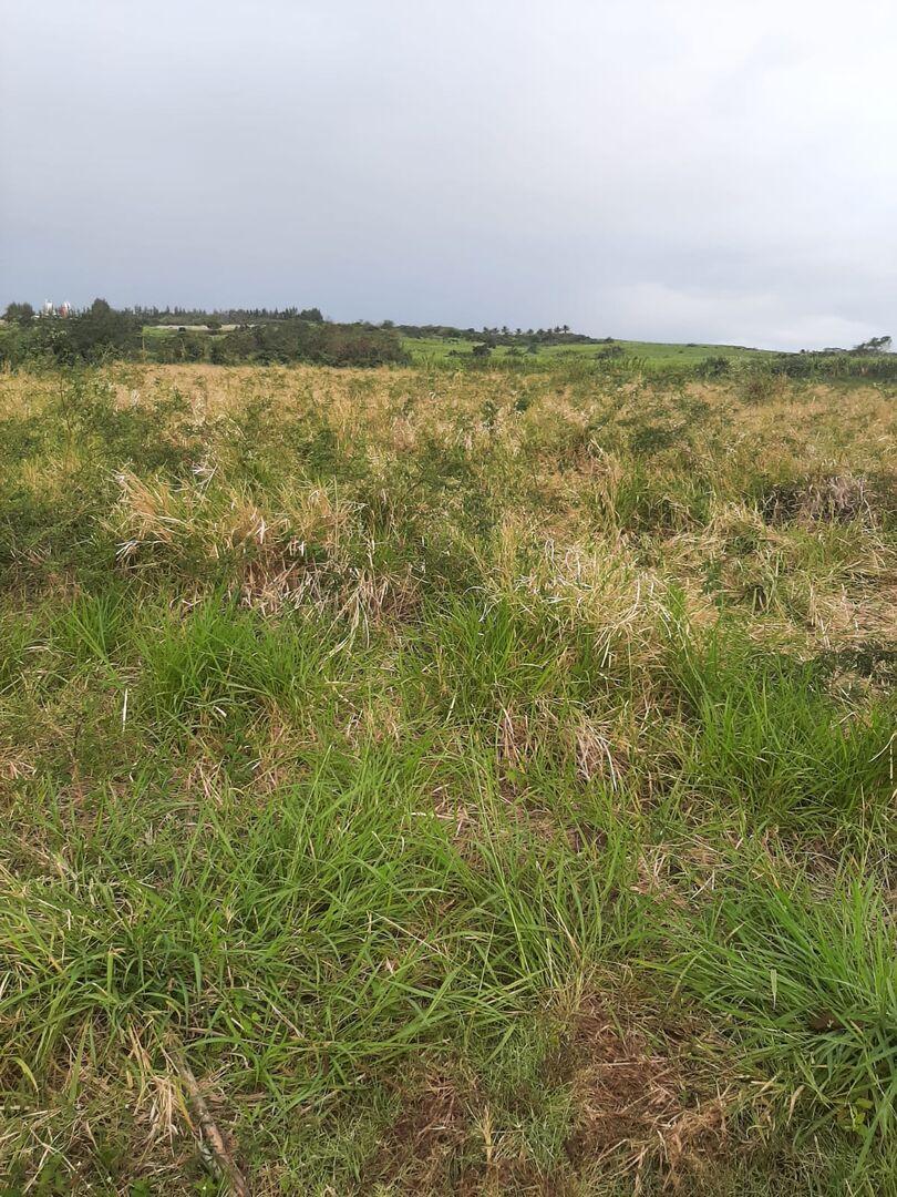 Terrain agricole de premier choix à vendre à Triolet – Opportunité d'investissement de 8 221 m²