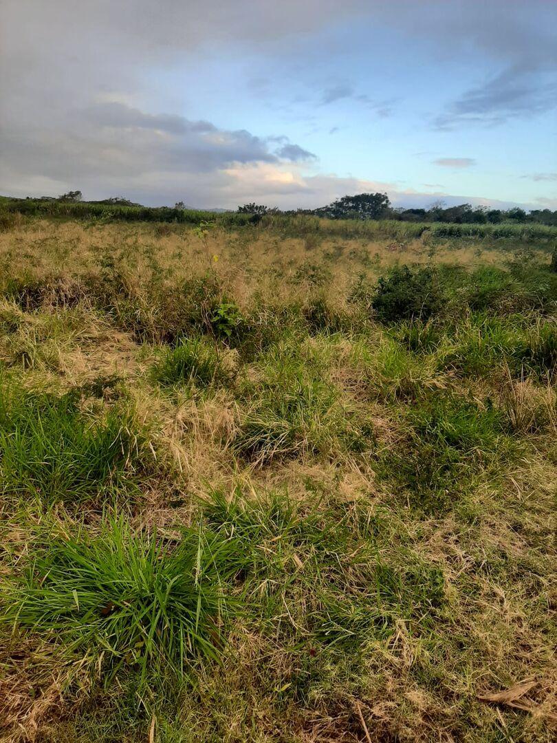 Terrain agricole de premier choix à vendre à Triolet – Opportunité d'investissement de 8 221 m²