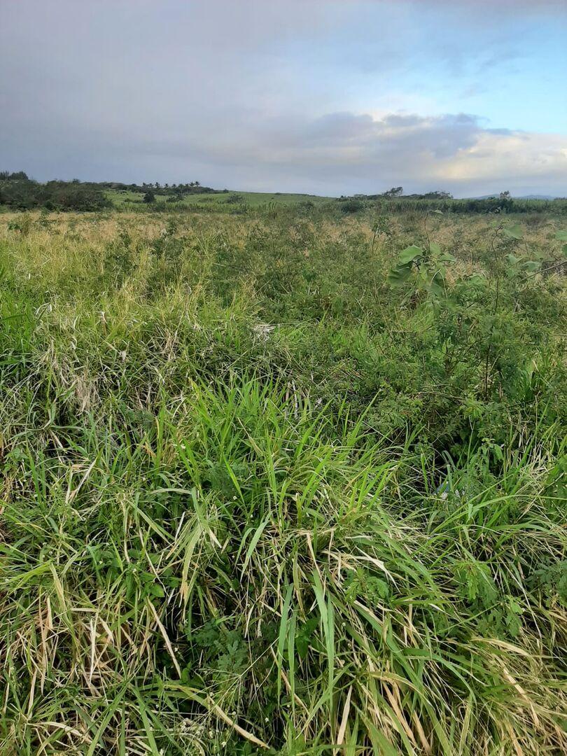 Terrain agricole de premier choix à vendre à Triolet – Opportunité d'investissement de 8 221 m²