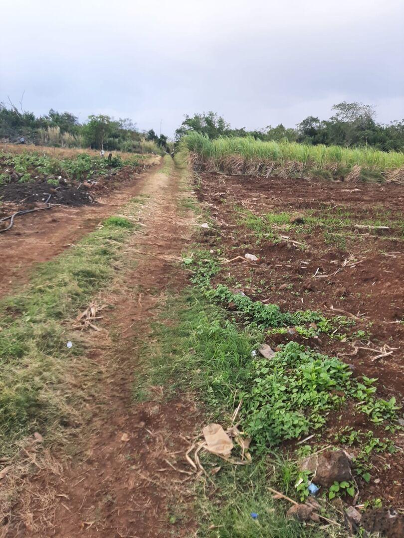 Terrain agricole de premier choix à vendre à Triolet – Opportunité d'investissement de 8 221 m²